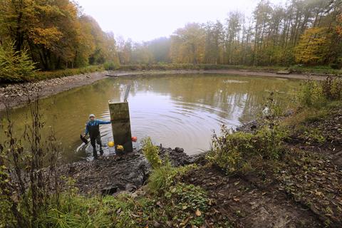 Neuer Ablauf für die Darmstädter Fischteiche